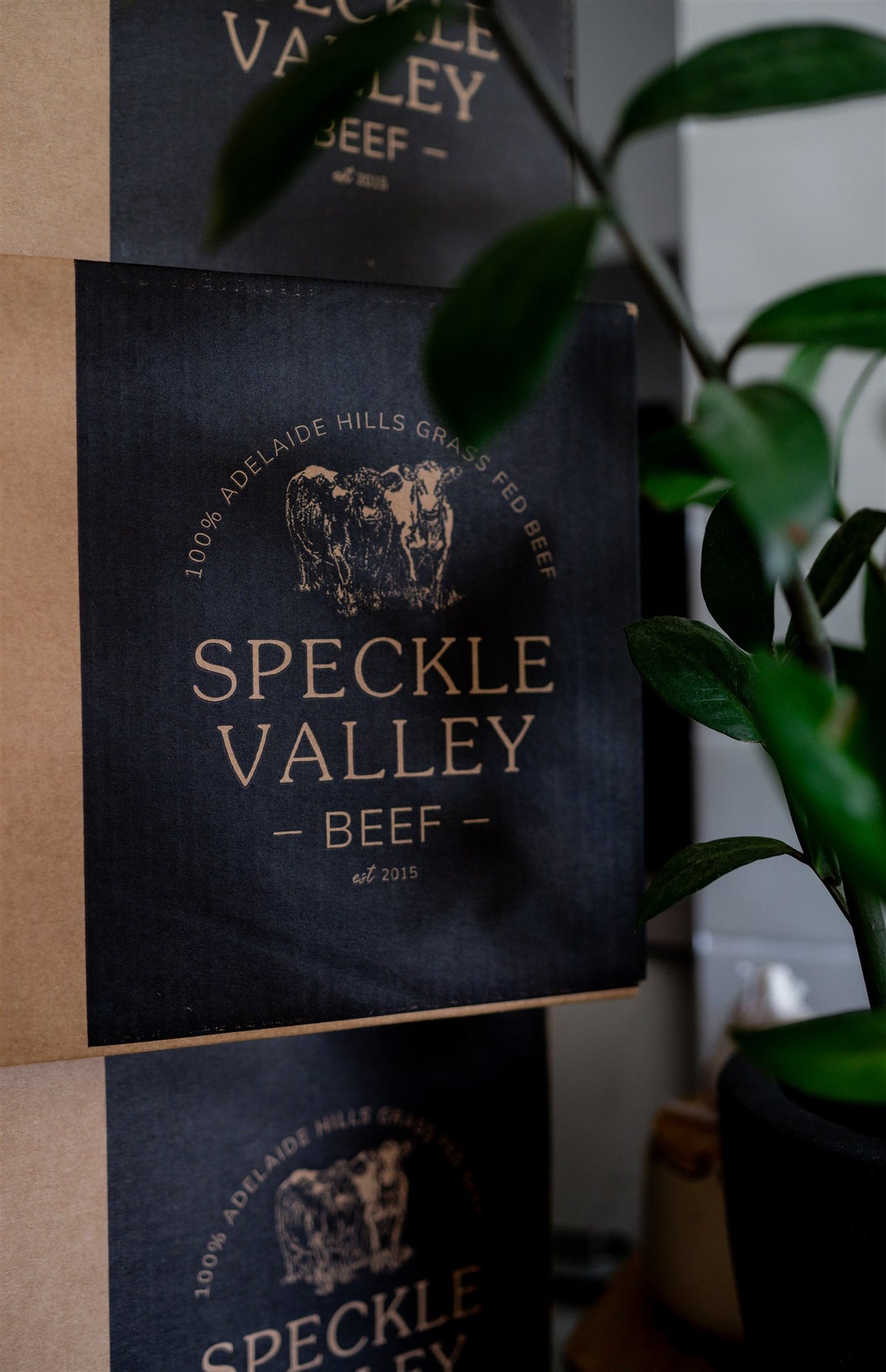 Premium 100% Grass Fed Beef – Speckle Valley Beef
